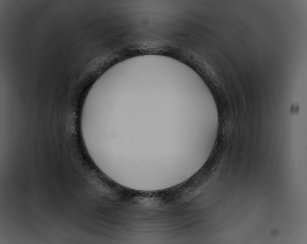 X0000100840689200807180921