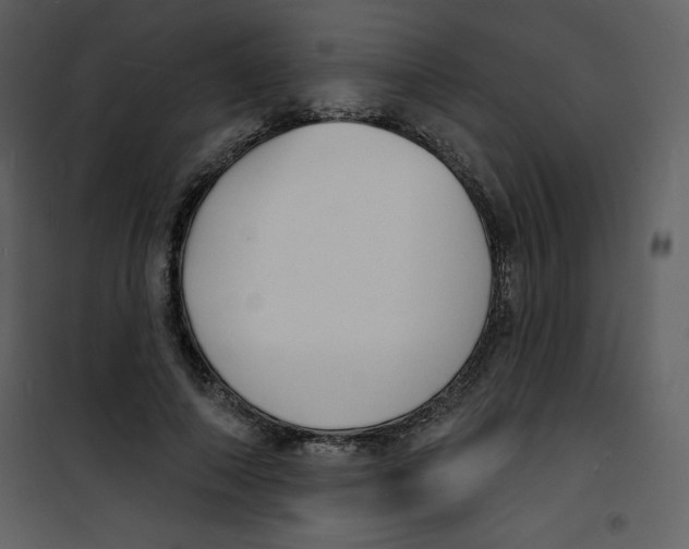 X0000100840690200807180920