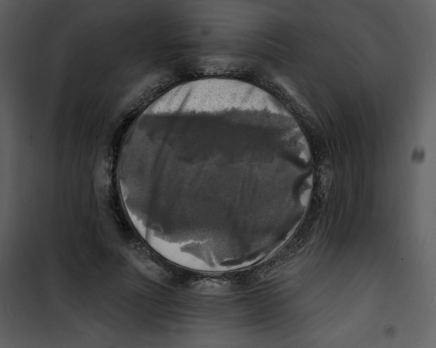 X0000100840691200807180920