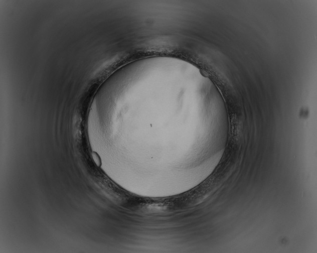 X0000100840692200807180920