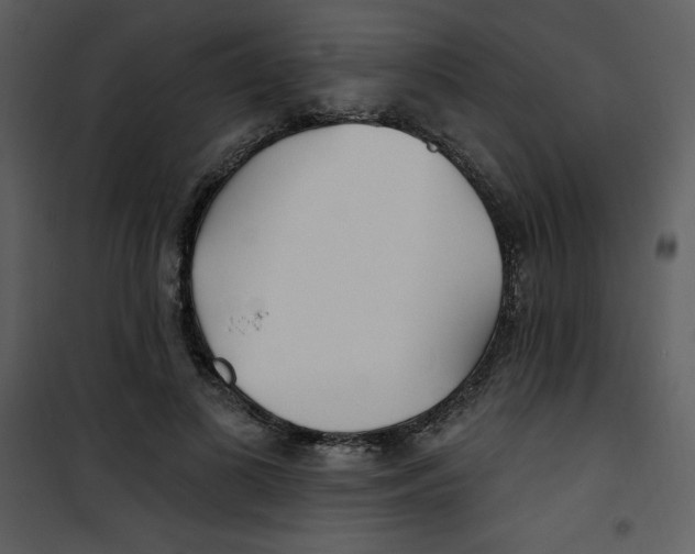 X0000100840693200807180920