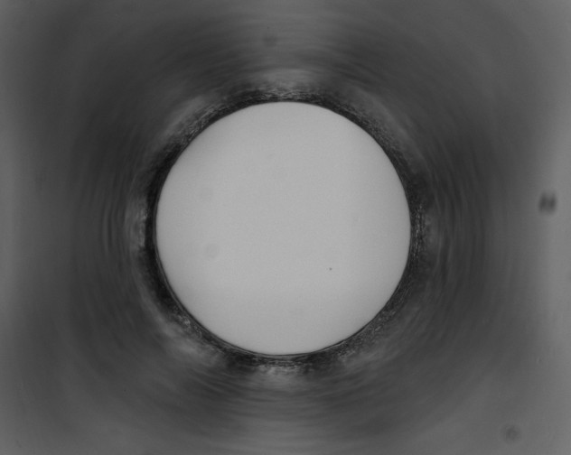 X0000100840694200807180920