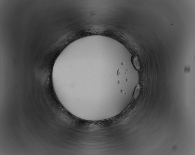 X0000100840697200807180920