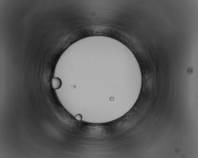 X0000100840698200807180920