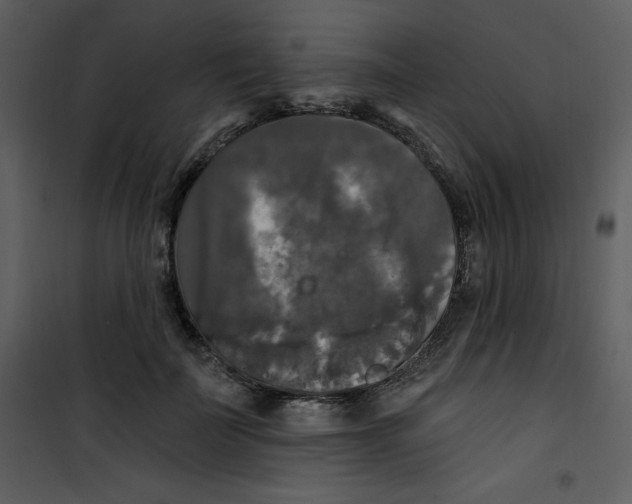 X0000100840699200807180920