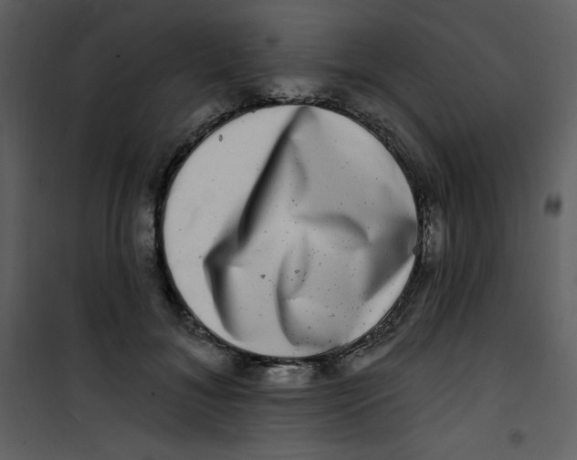 X0000100840700200807180920