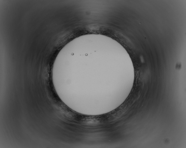 X0000100840702200807180920