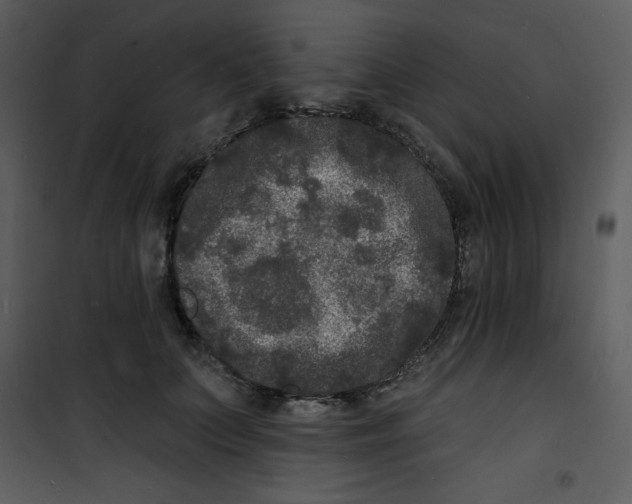 X0000100840703200807180920