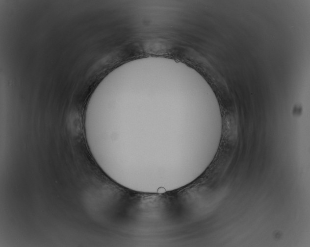 X0000100840705200807180920