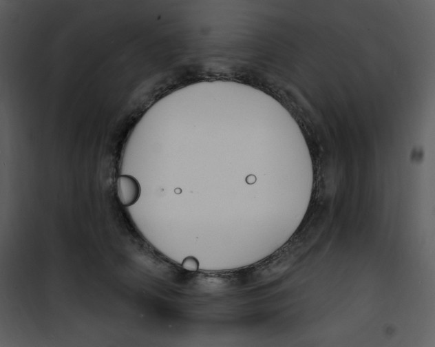 X0000100840706200807180920