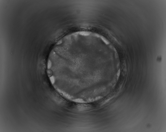 X0000100840707200807180920