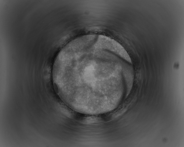 X0000100840708200807180920