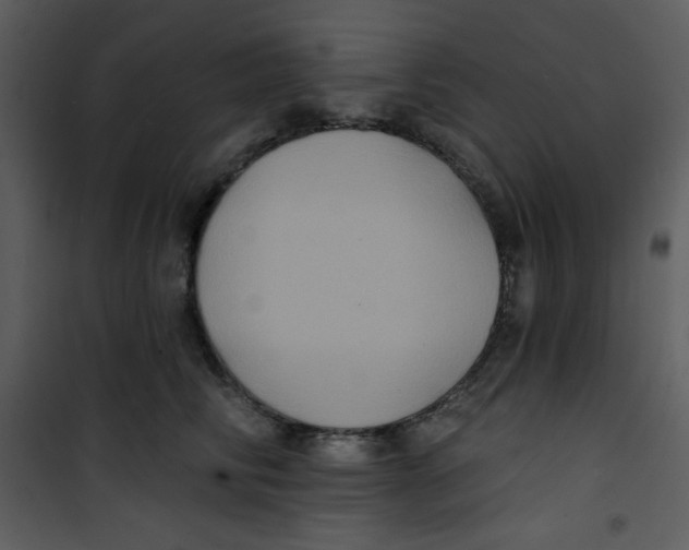 X0000100840710200807180920