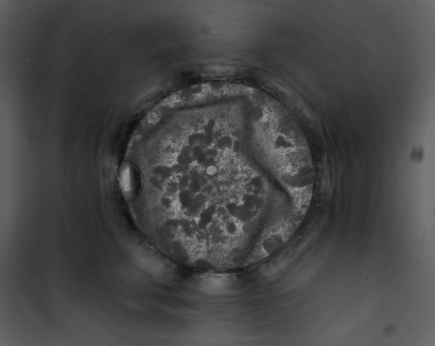 X0000100840711200807180920