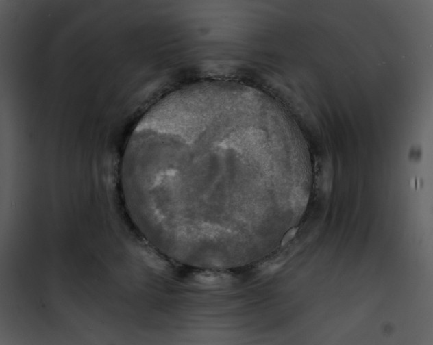 X0000100840712200807180920