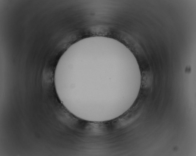 X0000100840713200807180920