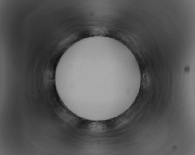 X0000100840714200807180920