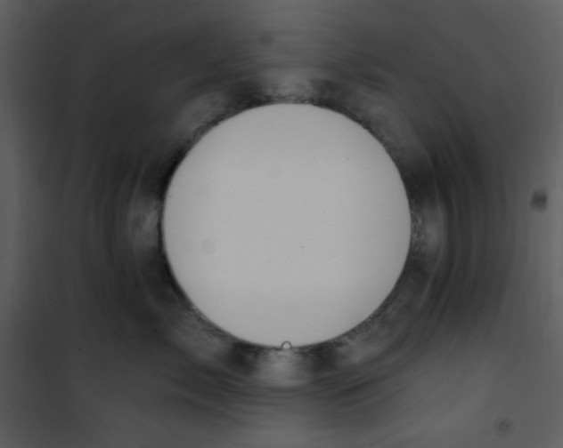 X0000100840717200807180920