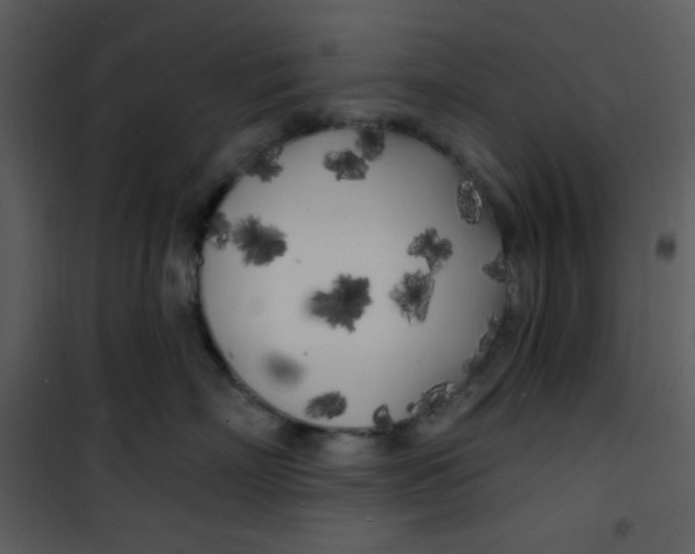 X0000100840718200807180920