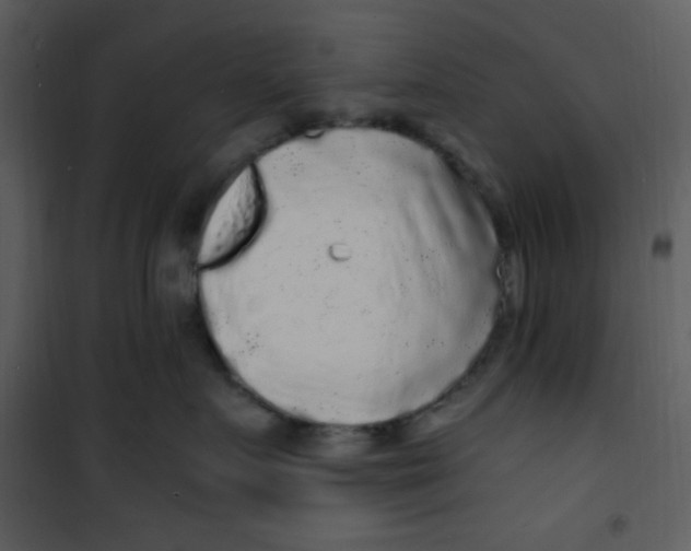 X0000100840719200807180920