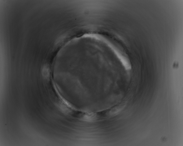 X0000100840720200807180920