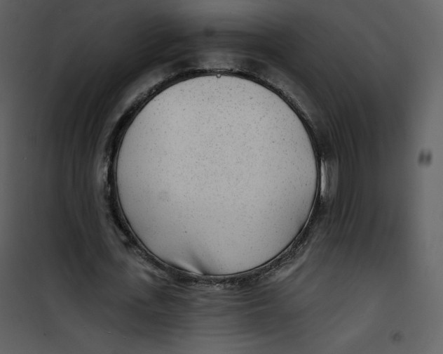 X0000100840723200807180919