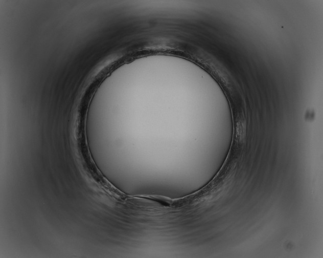 X0000100840724200807180919