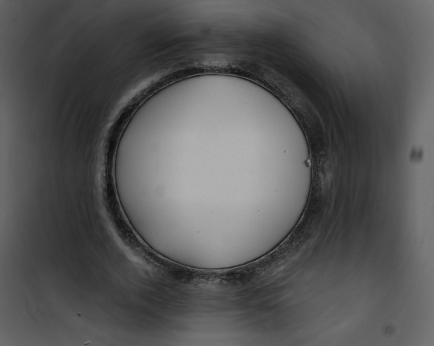 X0000100840728200807180919