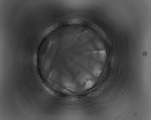 X0000100840729200807180919