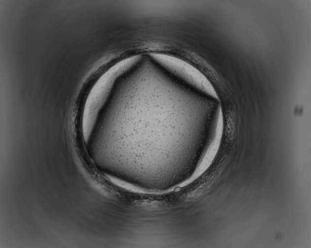 X0000100840730200807180919