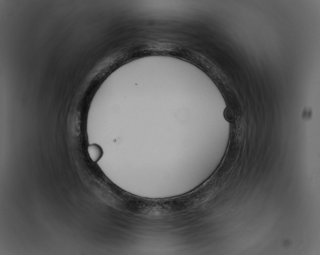 X0000100840731200807180919