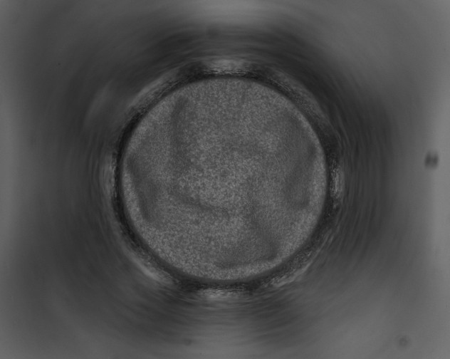 X0000100840733200807180919