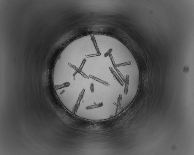 X0000100840735200807180919