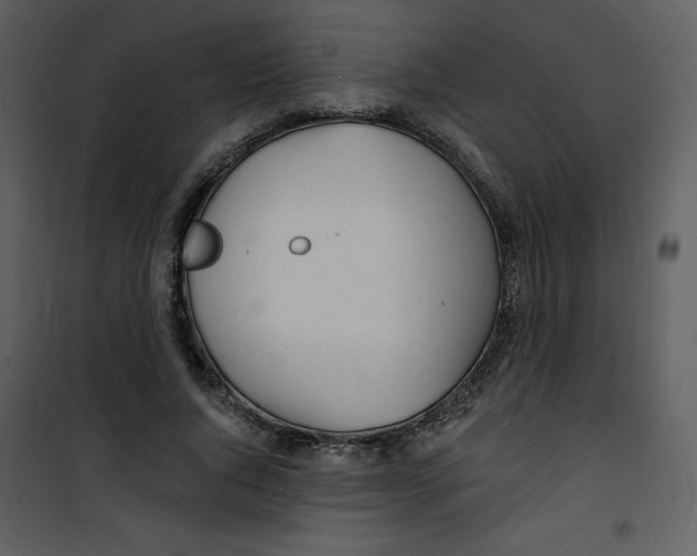 X0000100840736200807180919