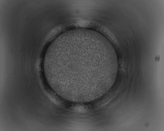 X0000100840738200807180919