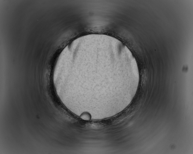 X0000100840739200807180919