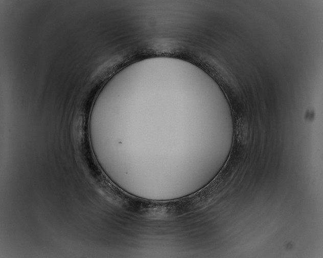 X0000100840740200807180919