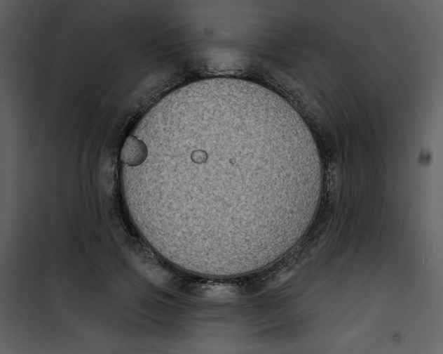 X0000100840741200807180920