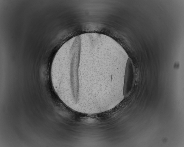 X0000100840743200807180920