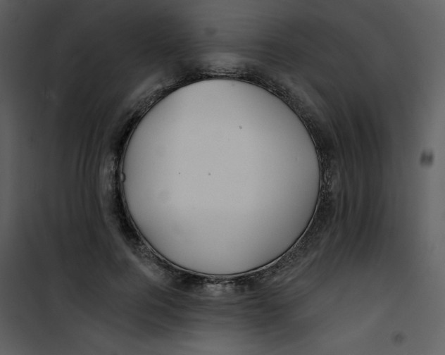 X0000100840744200807180920