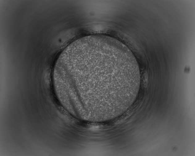 X0000100840746200807180920