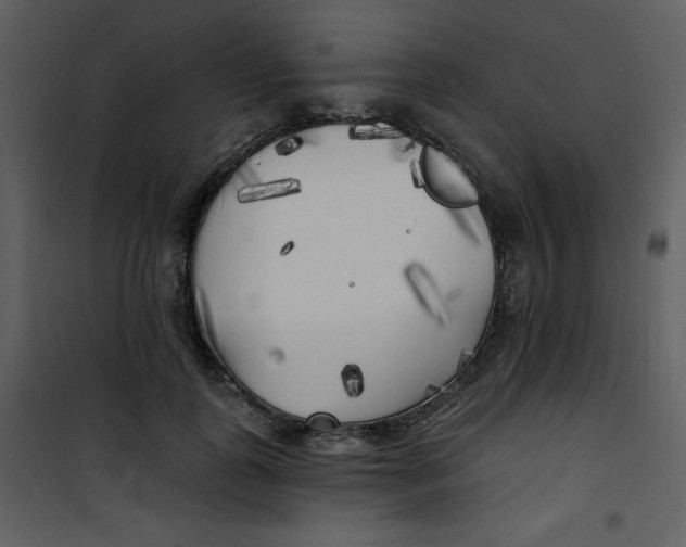 X0000100840747200807180920