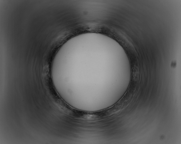 X0000100840748200807180920