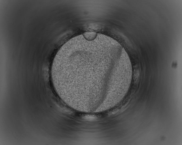 X0000100840749200807180920