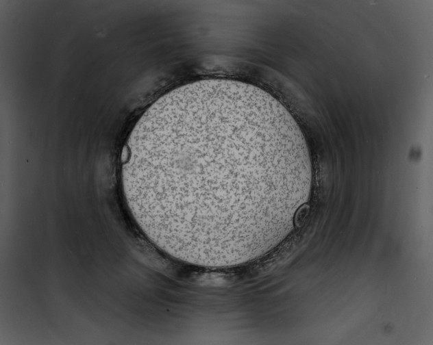 X0000100840751200807180920