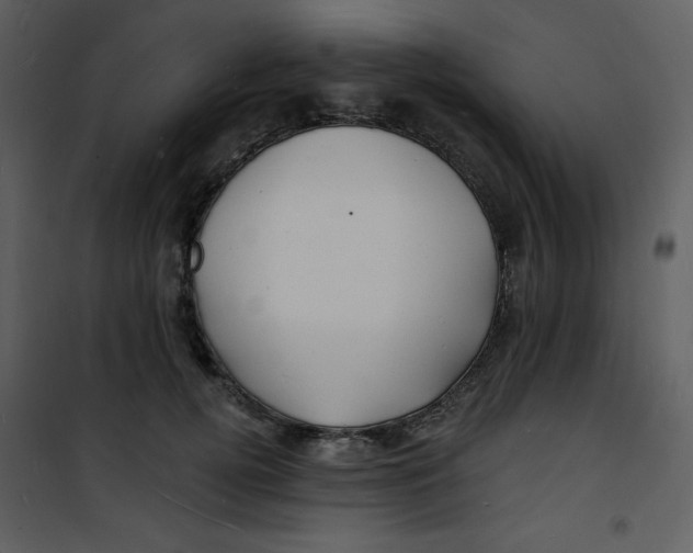 X0000100840752200807180920