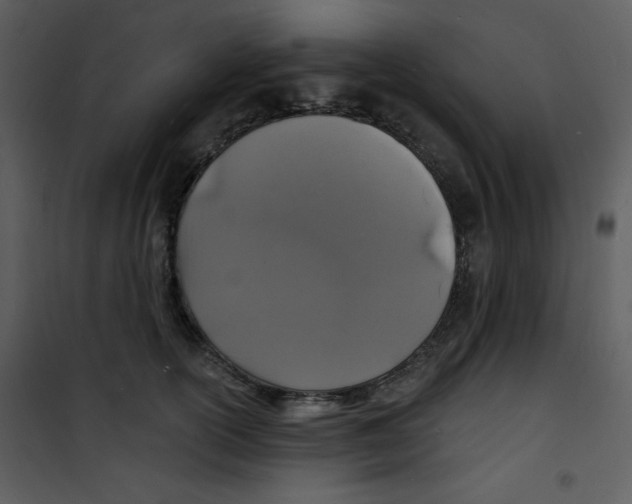 X0000100840754200807180920