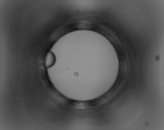 X0000100840755200807180920