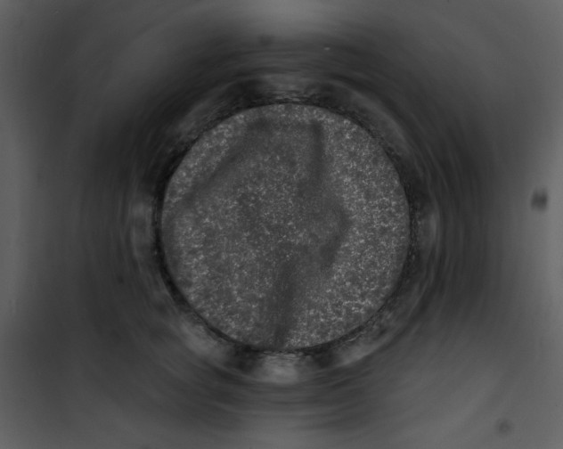 X0000100840757200807180920