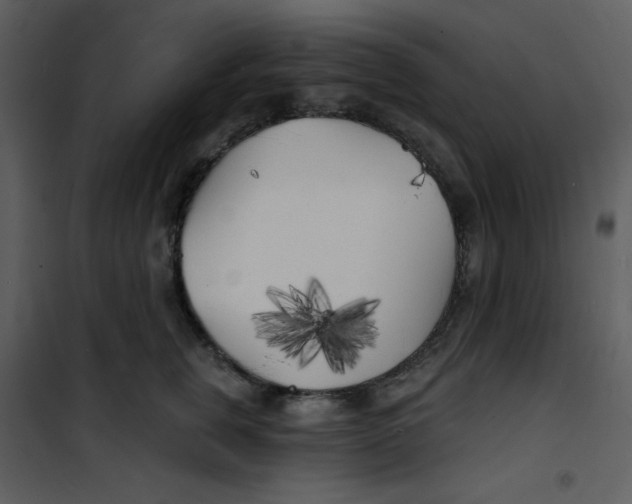 X0000100840759200807180920